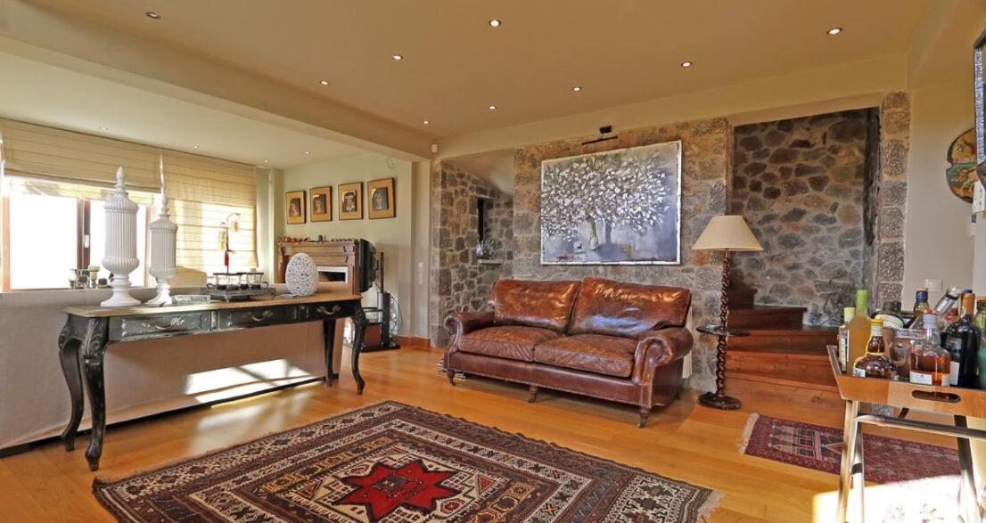 Plethora Arachova Luxury Chalet Εξωτερικό φωτογραφία