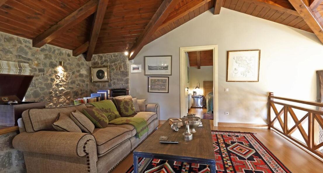 Plethora Arachova Luxury Chalet Εξωτερικό φωτογραφία